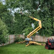 Best Tree and Shrub Care  in Stockbridge, GA