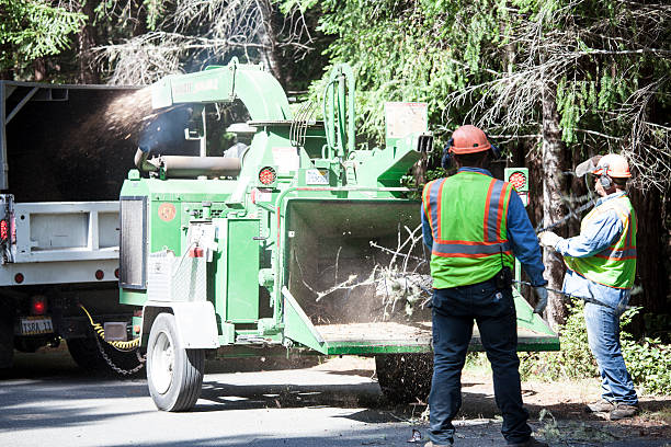 Seasonal Cleanup (Spring/Fall) in Stockbridge, GA