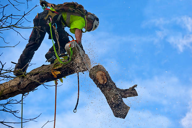 Best Tree Planting  in Stockbridge, GA