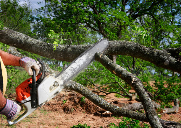 Best Lawn Irrigation Installation and Maintenance  in Stockbridge, GA